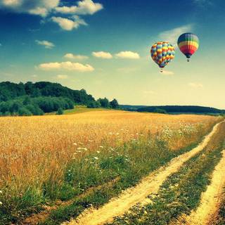 Hot air balloons wallpaper