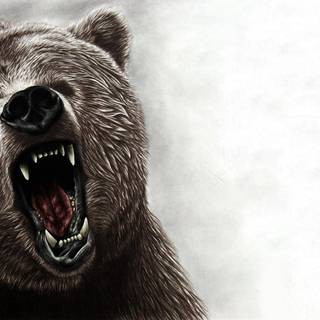 Grizzly bears wallpaper