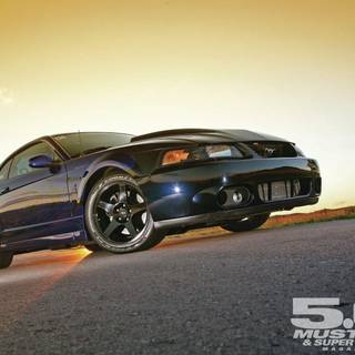 2003 Ford Mustang Cobra Terminator wallpaper