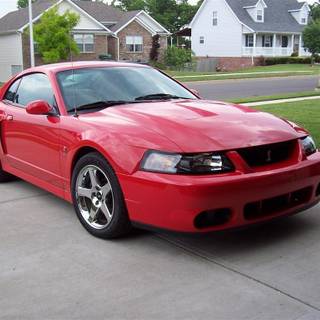 2003 Ford Mustang Cobra Terminator wallpaper