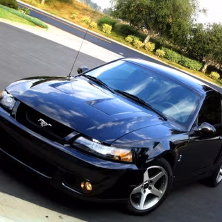 2003 Ford Mustang Cobra Terminator wallpaper