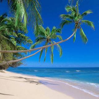 Hawaiian Islands wallpaper