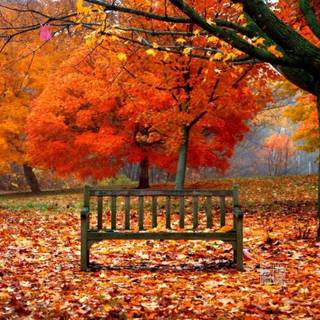 First day of fall wallpaper