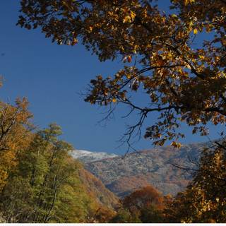 First day of fall wallpaper