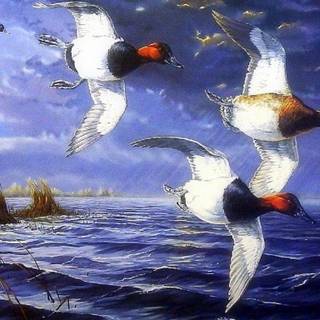 Bryce Love wallpaper