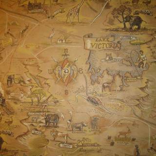 Disney's Animal Kingdom wallpaper