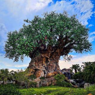 Disney's Animal Kingdom wallpaper