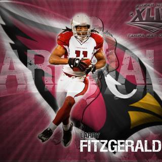 Larry Fitzgerald wallpaper