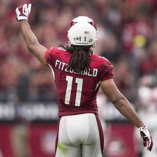 Larry Fitzgerald wallpaper