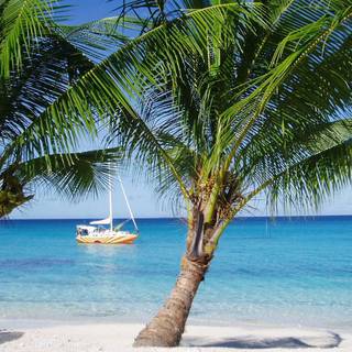 Marshall Islands wallpaper