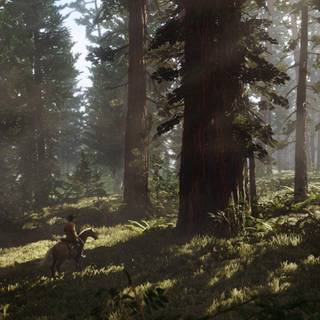 Red Dead Redemption 2 wallpaper