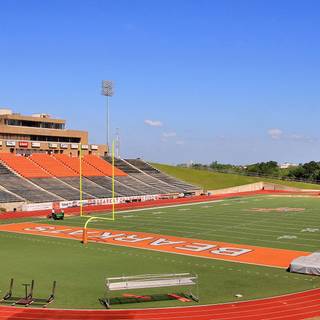 Sam Houston State Bearkats wallpaper