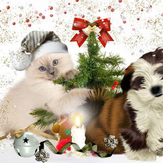 Kittens and puppies wallpaper