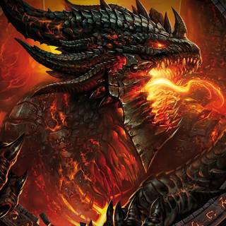 Fire dragons wallpaper