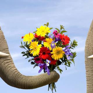 Pray for the world wallpaper