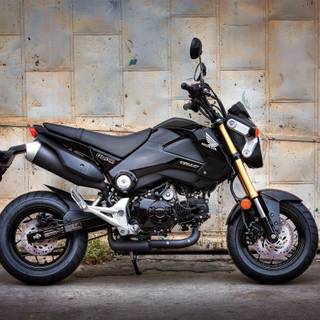 Honda Grom wallpaper