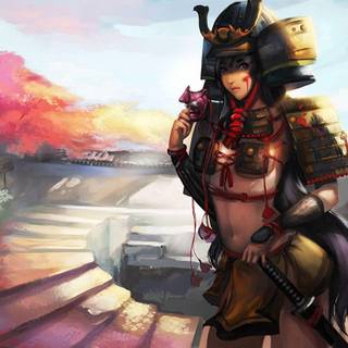 Samurai Warriors wallpaper