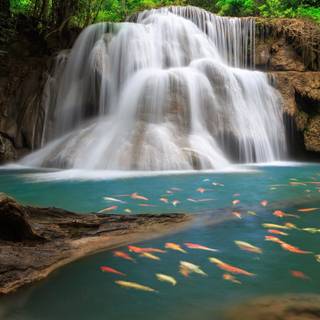 Pretty waterfalls wallpaper