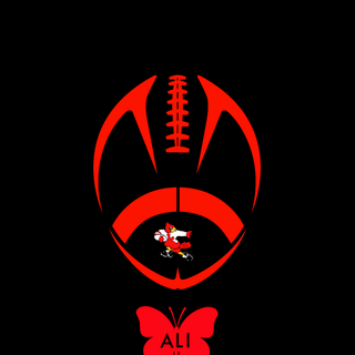 Louisville Cardinals wallpaper