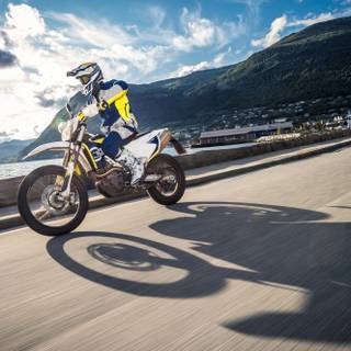 Husqvarna FS 450 wallpaper