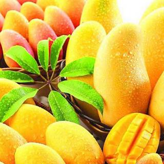 Mango fruit wallpaper