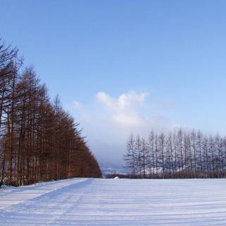 The Good Place wallpaper