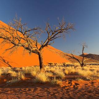 Namibia wallpaper