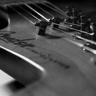 Fender Bass guitars wallpaper