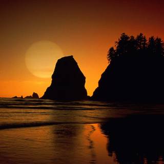 Olympic National Park wallpaper