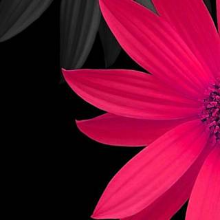 Samsung Galaxy S8 wallpaper