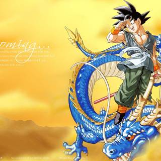 Sheng Long wallpaper