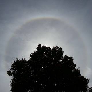  Orionid meteor shower wallpaper