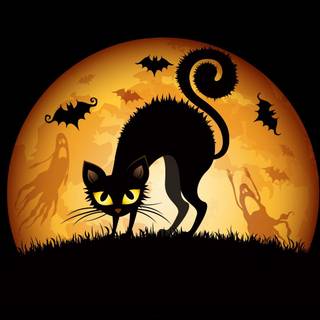 Halloween black cats wallpaper