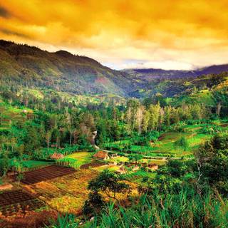 Papua New Guinea wallpaper