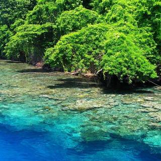 Papua New Guinea wallpaper