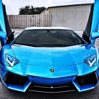 Blue Lamborghinis wallpaper