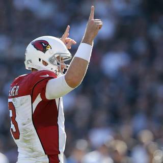 Carson Palmer wallpaper