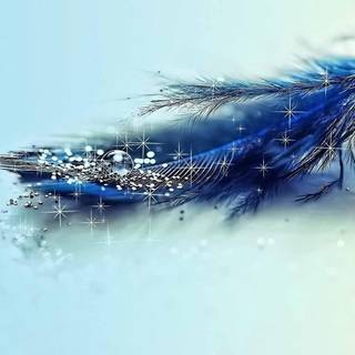 Teal feather fan wallpaper