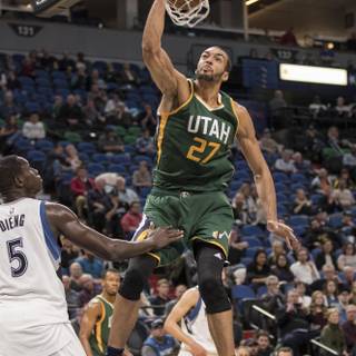 Rudy Gobert wallpaper