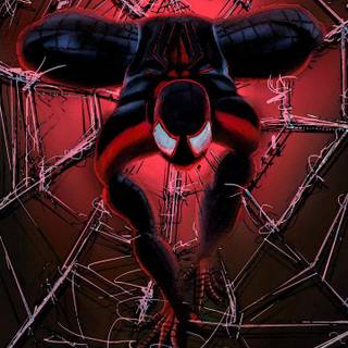 Miles Morales wallpaper