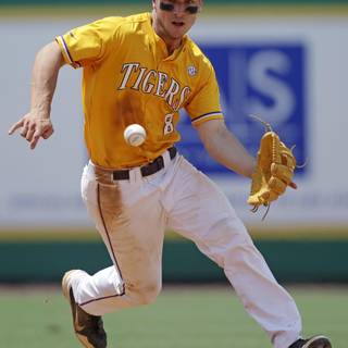 Alex Bregman wallpaper