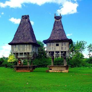 Timor-Leste wallpaper