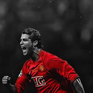 Manchester black from the elite wallpaper