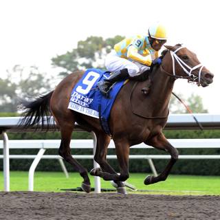 Breeders Cup wallpaper