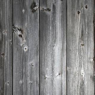 White wood wallpaper