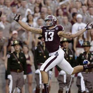 Mike Evans wallpaper