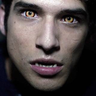 Tyler Hoechlin wallpaper