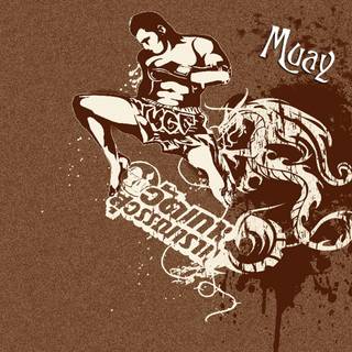 Muay Thai wallpaper