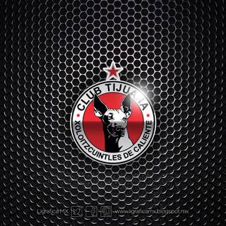 Xolos wallpaper