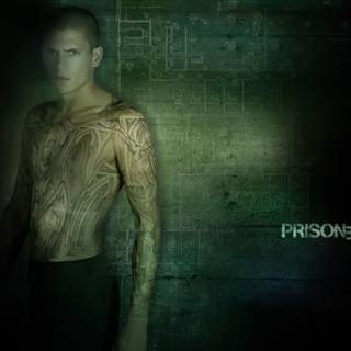 Michael Scofield wallpaper